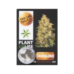 plant of life chokoloko 3,8% cbd solid  1gr