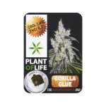 plant of life gorilla glue 3,8% cbd solid 1gr